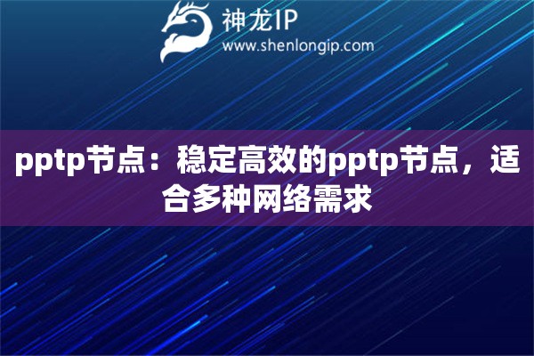 pptp節(jié)點(diǎn)：穩(wěn)定高效的pptp節(jié)點(diǎn)，適合多種網(wǎng)絡(luò)需求