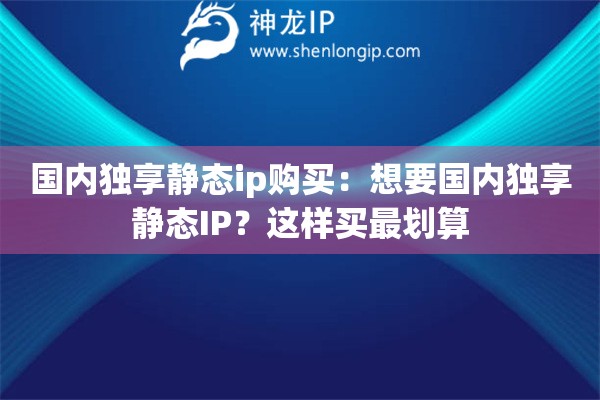 國內(nèi)獨享靜態(tài)ip購買：想要國內(nèi)獨享靜態(tài)IP？這樣買最劃算