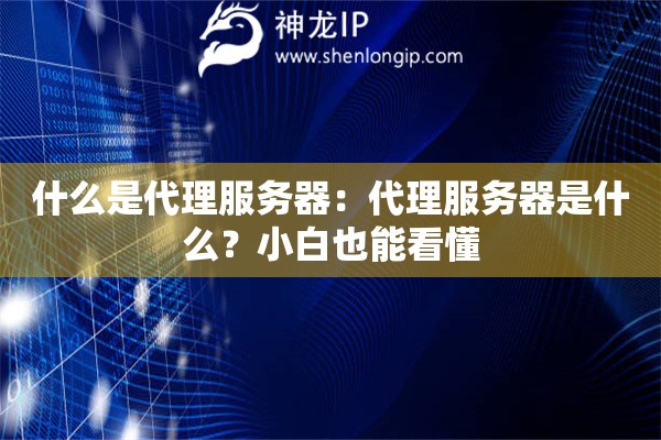 什么是代理服務(wù)器：代理服務(wù)器是什么？小白也能看懂