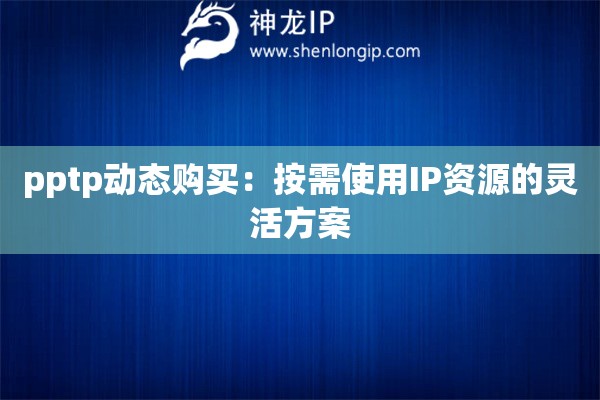 pptp動(dòng)態(tài)購(gòu)買(mǎi)：按需使用IP資源的靈活方案