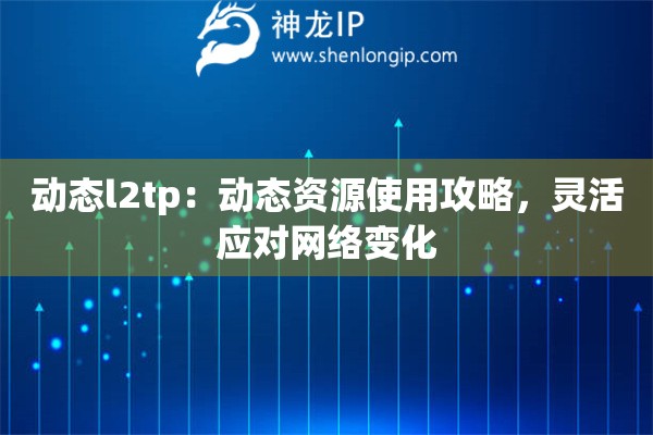 動(dòng)態(tài)l2tp：動(dòng)態(tài)資源使用攻略，靈活應(yīng)對(duì)網(wǎng)絡(luò)變化
