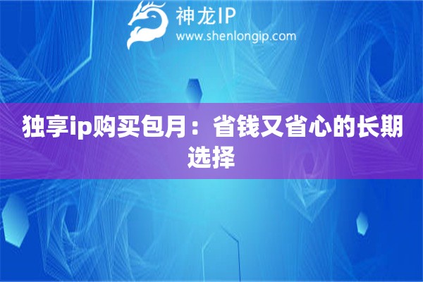 獨(dú)享ip購買包月：省錢又省心的長期選擇