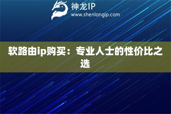軟路由ip購買：專業(yè)人士的性價比之選