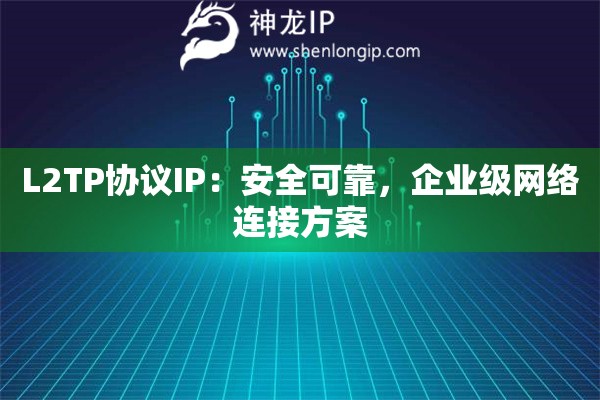 L2TP協(xié)議IP：安全可靠，企業(yè)級(jí)網(wǎng)絡(luò)連接方案