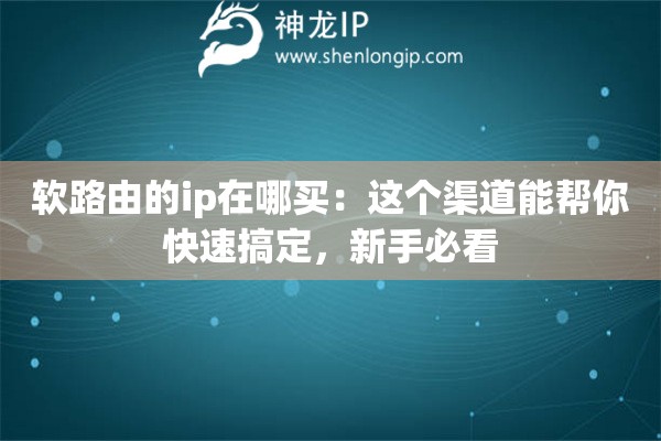 軟路由的ip在哪買：這個渠道能幫你快速搞定，新手必看