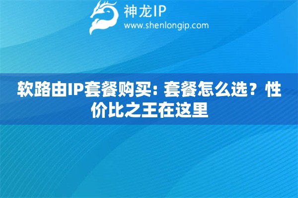軟路由IP套餐購買: 套餐怎么選？性價比之王在這里