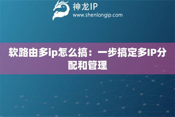 軟路由多ip怎么搞：一步搞定多IP分配和管理
