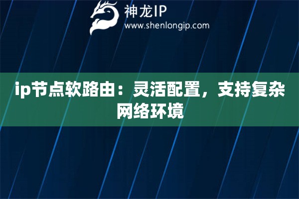 ip節(jié)點(diǎn)軟路由：靈活配置，支持復(fù)雜網(wǎng)絡(luò)環(huán)境
