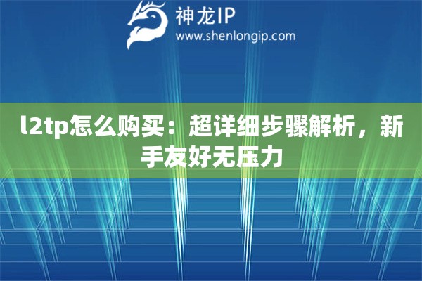 l2tp怎么購買：超詳細步驟解析，新手友好無壓力
