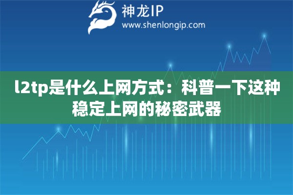 l2tp是什么上網(wǎng)方式：科普一下這種穩(wěn)定上網(wǎng)的秘密武器