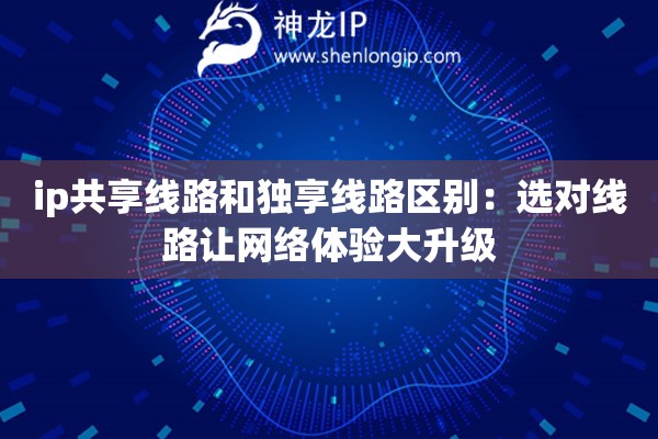 ip共享線路和獨享線路區(qū)別：選對線路讓網(wǎng)絡體驗大升級