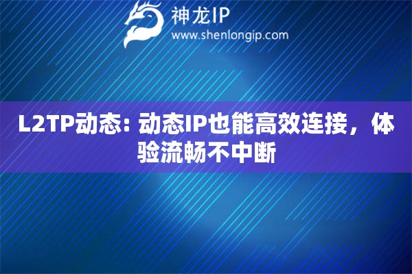 L2TP動(dòng)態(tài): 動(dòng)態(tài)IP也能高效連接，體驗(yàn)流暢不中斷