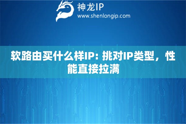 軟路由買什么樣IP: 挑對(duì)IP類型，性能直接拉滿