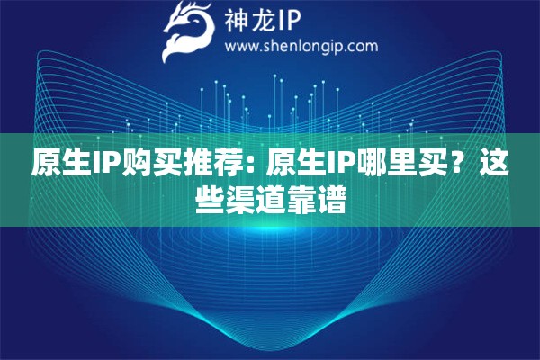 原生IP購買推薦: 原生IP哪里買？這些渠道靠譜