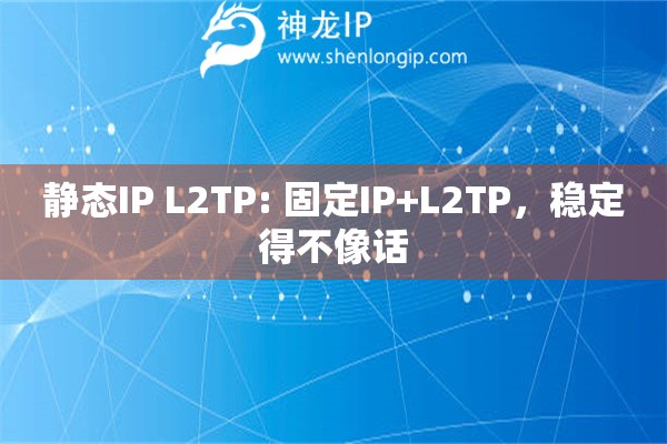 靜態(tài)IP L2TP: 固定IP+L2TP，穩(wěn)定得不像話