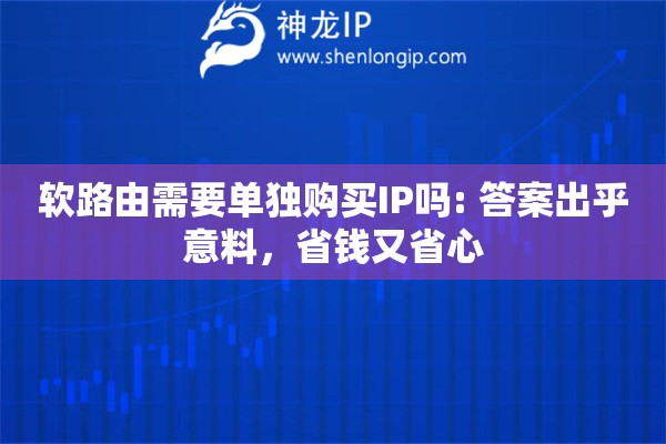 軟路由需要單獨購買IP嗎: 答案出乎意料，省錢又省心