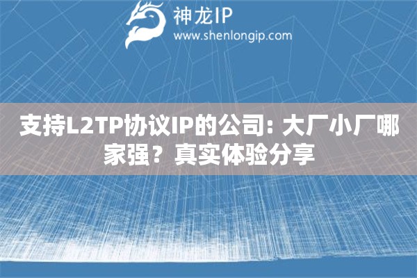 支持L2TP協(xié)議IP的公司: 大廠小廠哪家強？真實體驗分享