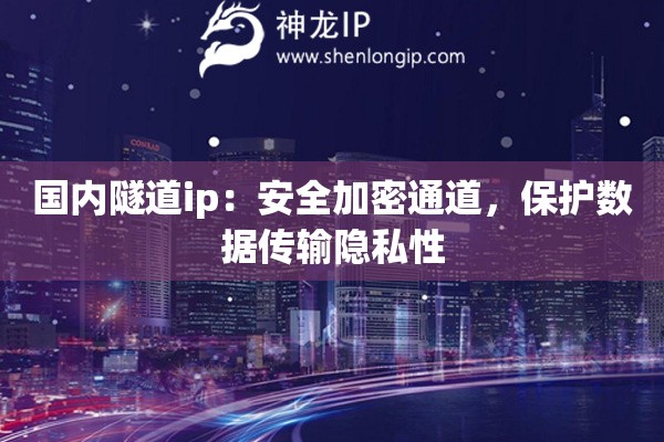國內(nèi)隧道ip：安全加密通道，保護(hù)數(shù)據(jù)傳輸隱私性