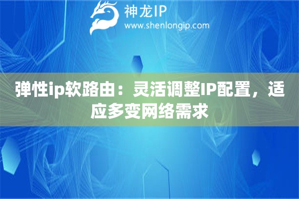 彈性ip軟路由：靈活調(diào)整IP配置，適應(yīng)多變網(wǎng)絡(luò)需求