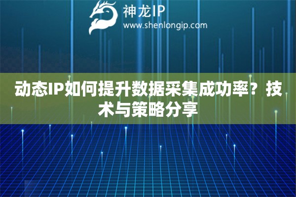 動(dòng)態(tài)IP如何提升數(shù)據(jù)采集成功率？技術(shù)與策略分享