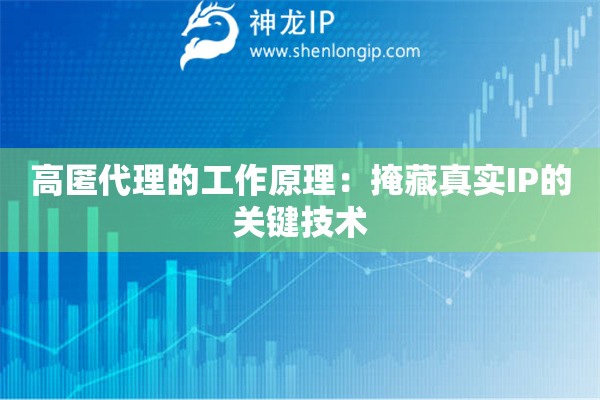 高匿代理的工作原理：掩藏真實IP的關(guān)鍵技術(shù)