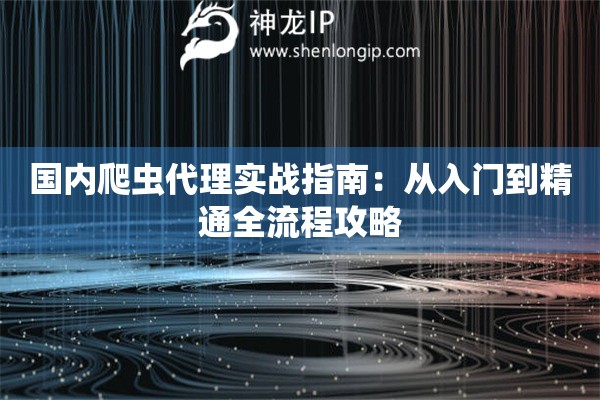 國內(nèi)爬蟲代理實戰(zhàn)指南：從入門到精通全流程攻略