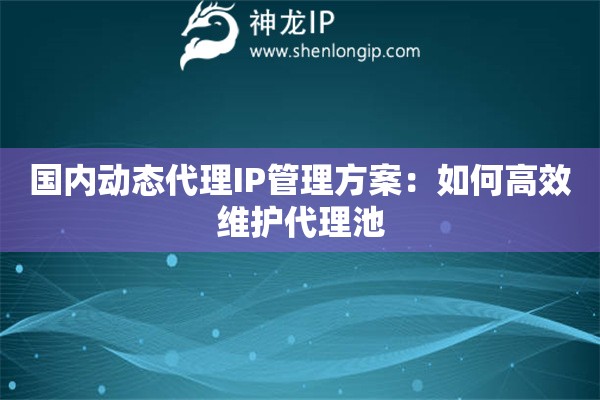 國內(nèi)動態(tài)代理IP管理方案：如何高效維護代理池