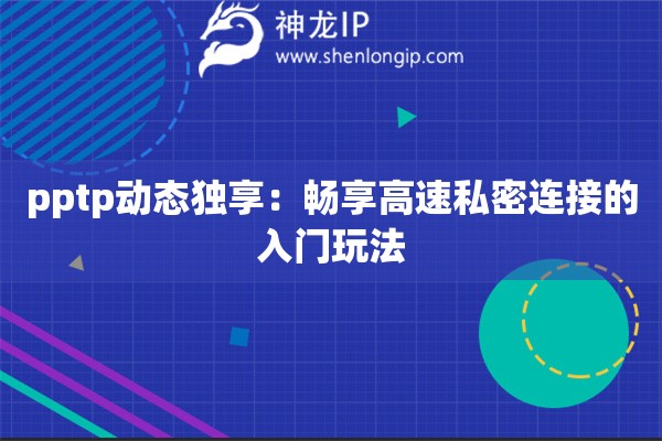 pptp動態(tài)獨享：暢享高速私密連接的入門玩法