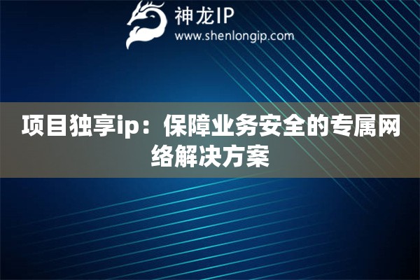 項目獨享ip：保障業(yè)務安全的專屬網絡解決方案