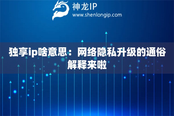 獨享ip啥意思：網絡隱私升級的通俗解釋來啦