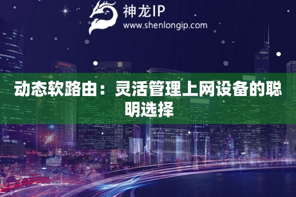 動態(tài)軟路由：靈活管理上網設備的聰明選擇