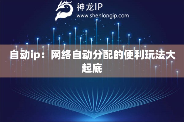 自動(dòng)ip：網(wǎng)絡(luò)自動(dòng)分配的便利玩法大起底