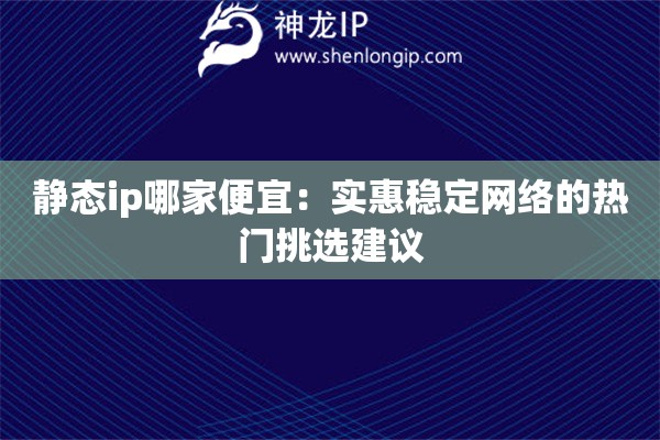 靜態(tài)ip哪家便宜：實(shí)惠穩(wěn)定網(wǎng)絡(luò)的熱門(mén)挑選建議