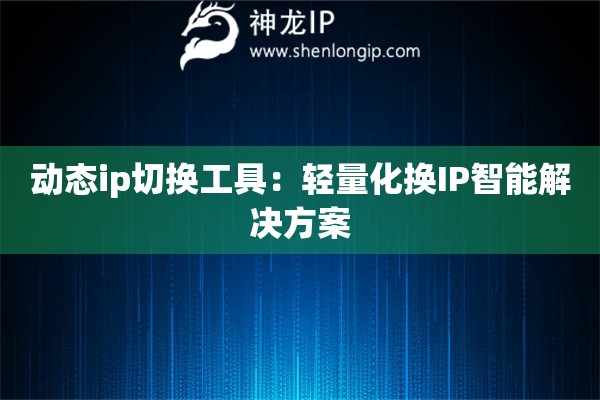 動(dòng)態(tài)ip切換工具：輕量化換IP智能解決方案