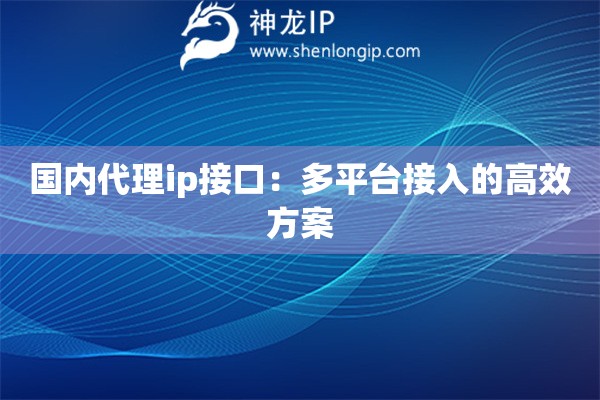 國內(nèi)代理ip接口：多平臺接入的高效方案