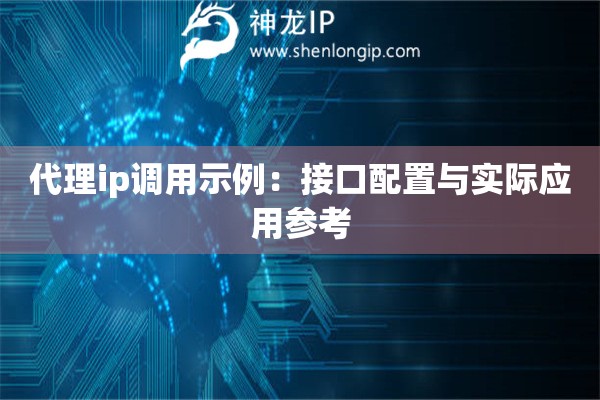 代理ip調(diào)用示例：接口配置與實際應(yīng)用參考