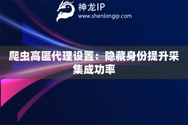 爬蟲高匿代理設(shè)置：隱藏身份提升采集成功率