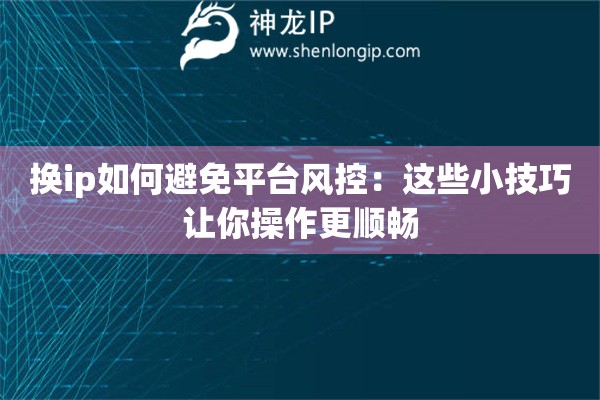 換ip如何避免平臺(tái)風(fēng)控：這些小技巧讓你操作更順暢