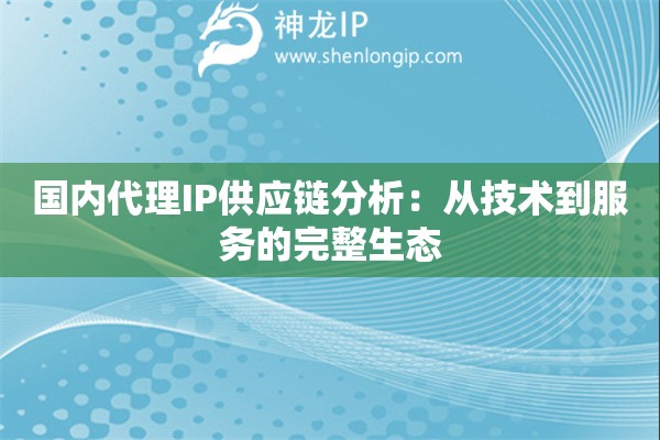 國(guó)內(nèi)代理IP供應(yīng)鏈分析：從技術(shù)到服務(wù)的完整生態(tài)