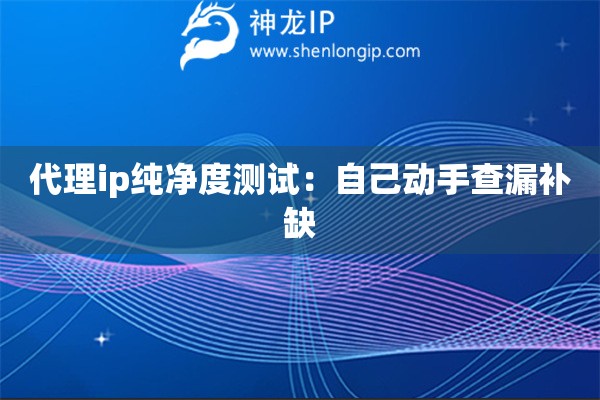 代理ip純凈度測試：自己動(dòng)手查漏補(bǔ)缺