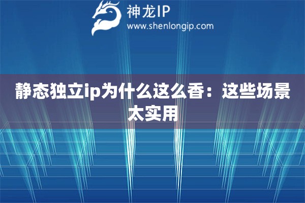 靜態(tài)獨(dú)立ip為什么這么香：這些場景太實(shí)用