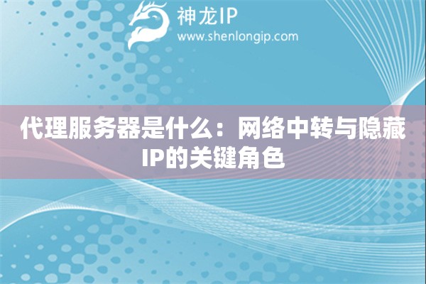 代理服務(wù)器是什么：網(wǎng)絡(luò)中轉(zhuǎn)與隱藏IP的關(guān)鍵角色