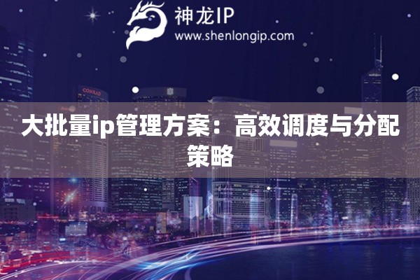 大批量ip管理方案：高效調(diào)度與分配策略