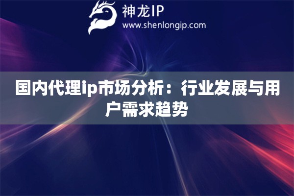 國(guó)內(nèi)代理ip市場(chǎng)分析：行業(yè)發(fā)展與用戶需求趨勢(shì)