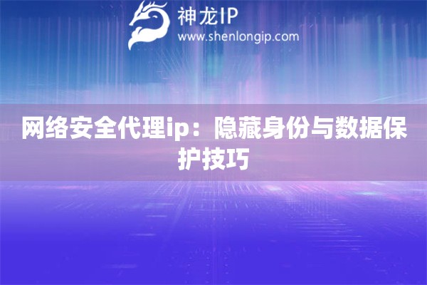 網(wǎng)絡(luò)安全代理ip：隱藏身份與數(shù)據(jù)保護(hù)技巧