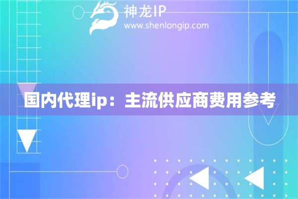 國(guó)內(nèi)代理ip：主流供應(yīng)商費(fèi)用參考