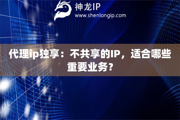 代理ip獨享：不共享的IP，適合哪些重要業(yè)務(wù)？