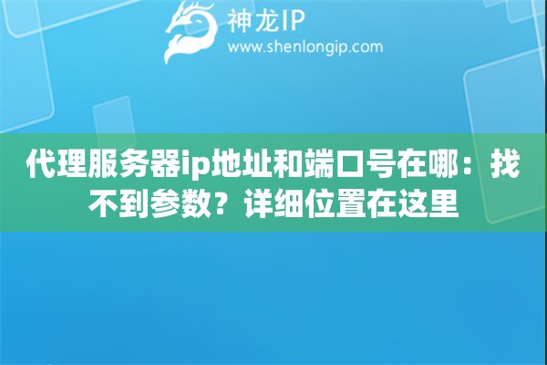 代理服務(wù)器ip地址和端口號在哪：找不到參數(shù)？詳細位置在這里