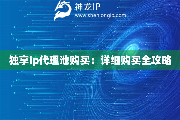 獨享ip代理池購買：詳細購買全攻略