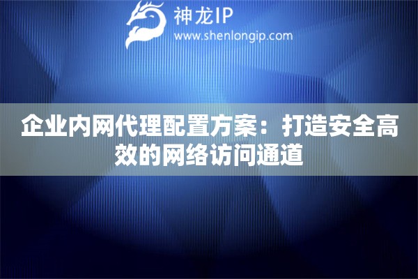 企業(yè)內(nèi)網(wǎng)代理配置方案：打造安全高效的網(wǎng)絡(luò)訪問(wèn)通道